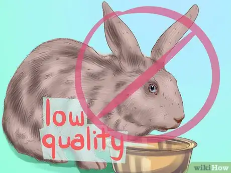 Image titled Save Money on Rabbit Care Step 4