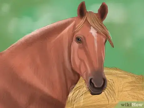 Image titled Care for Your Horse In the Winter Step 9