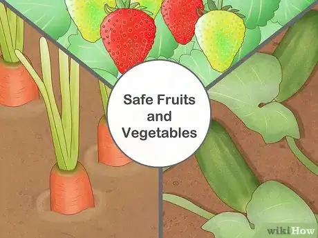 Image titled Garden when You Have a Dog Step 2