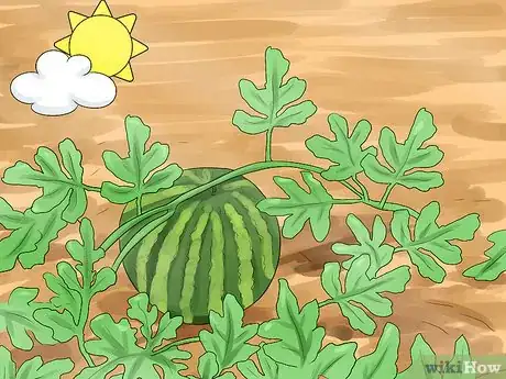 Image titled Garden in a Mediterranean Climate Step 6