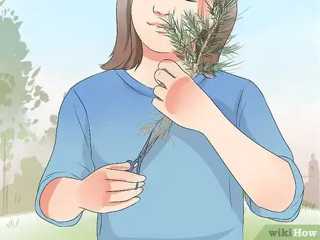 Image titled Plant Cedar Trees Step 11