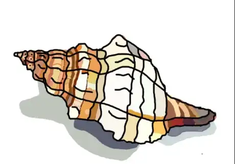 Image titled Drawaconchstep10.png
