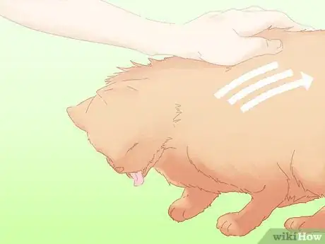 Image titled Save a Choking Cat Step 4