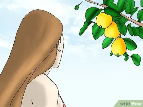 Image titled Grow Quince Step 12