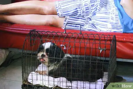 Image titled Housebreak Your Dog Using Crate Training Step 3