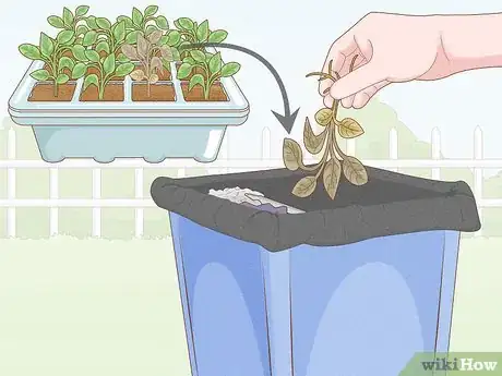 Image titled Grow Tobacco Inside Step 9