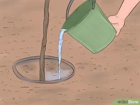 Image titled Create a Christmas Tree Forest Step 10