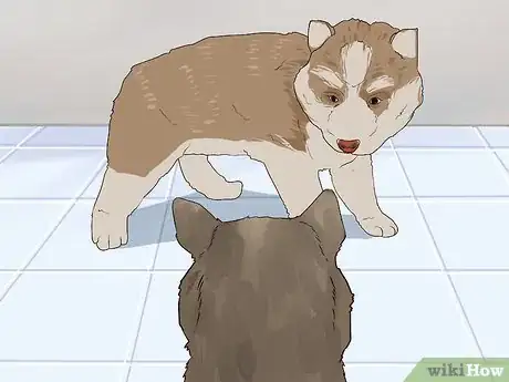 Image titled Socialize Orphaned Newborn Puppies Step 11
