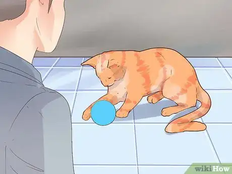 Image titled Prevent Cat Hairballs Step 11