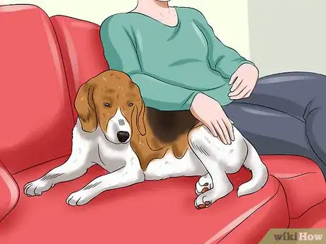 Image titled Protect Your Dog from Holiday Hazards Step 10