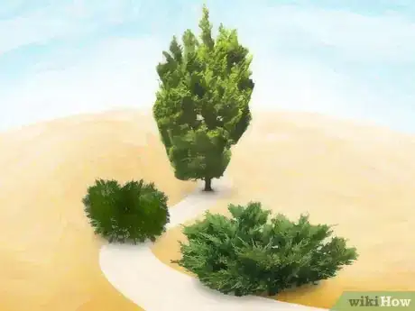 Image titled Plant Juniper Step 1