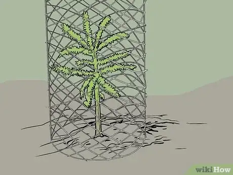 Image titled Plant Trees for a Reforestation Project Step 10