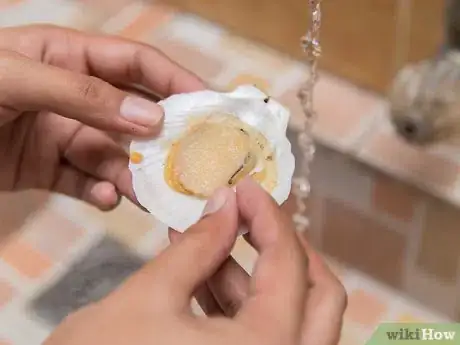Image titled Prepare and Cook Scallops Step 3