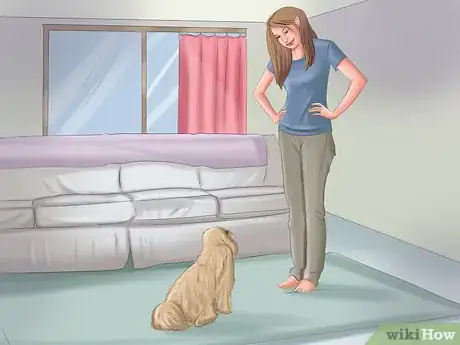 Image titled Teach Your Dog to Sit Step 2