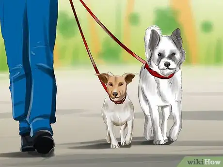 Image titled Introduce a Puppy to a Dog Step 7