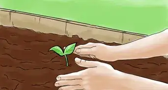 Grow Vegetables With Grow Lights