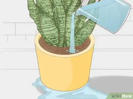 Image titled Prevent over Watering in House Plants Step 3