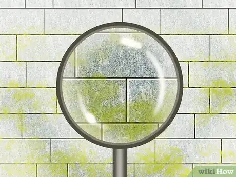 Image titled Clean a Stone Tile Shower Step 6