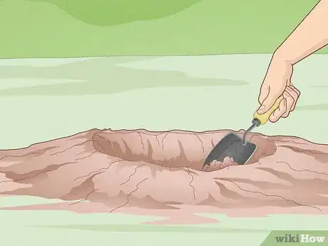 Image titled Grow Scuppernongs Step 7