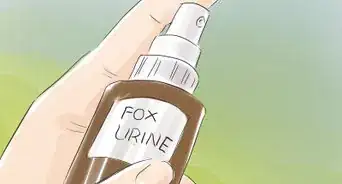 Discourage Skunks in Your Garden