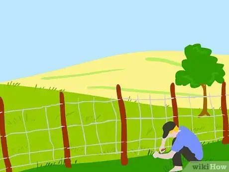 Image titled Graze Cattle on Pasture Step 4