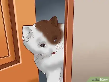 Image titled Get a Cat for a Pet Step 22