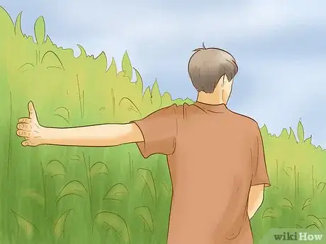 Image titled Find Your Way Through a Corn Maze Step 6