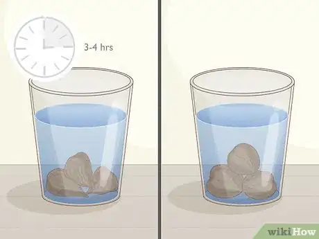 Image titled Plant Anemone Corms Step 5