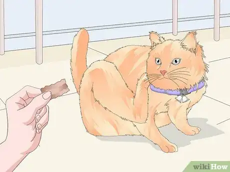 Image titled Buy a Collar for Your Cat Step 8