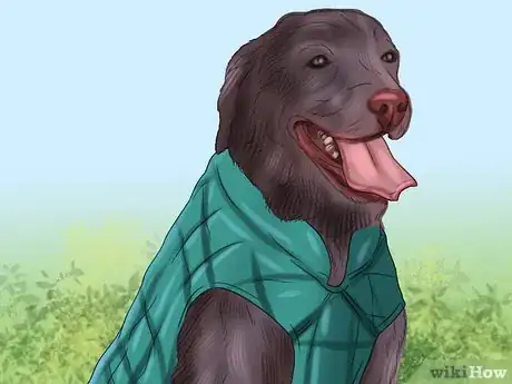 Image titled Be Prepared for Walking Your Dog Step 15