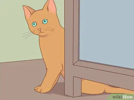 Image titled Choose the Right Kitten for Your Home Step 6