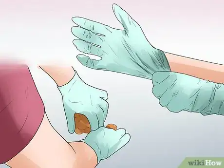 Image titled Treat Canine Leptospirosis Step 14