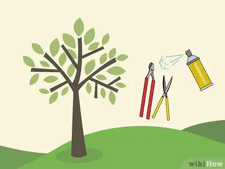 Image titled Prune an Avocado Tree Step 06