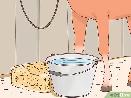 Image titled Transport a Horse Step 11