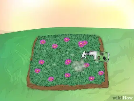 Image titled Grow Ice Plants Step 18