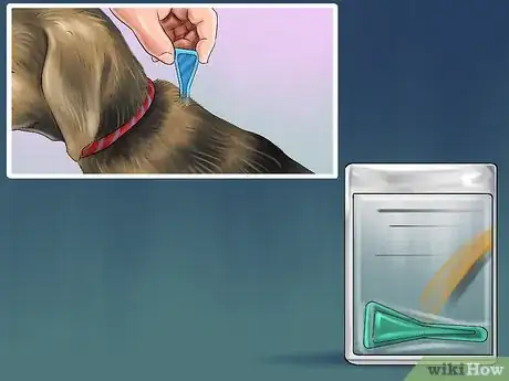 Image titled Keep Ticks from Your Dogs Step 8