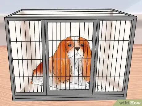 Image titled Treat Canine Leptospirosis Step 11