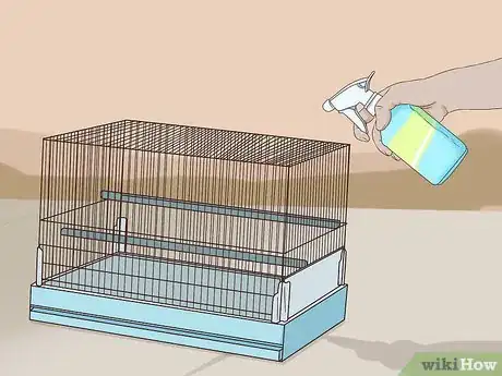 Image titled Diagnose and Treat Epizootic Catarrhal Enteritis in Ferrets Step 12