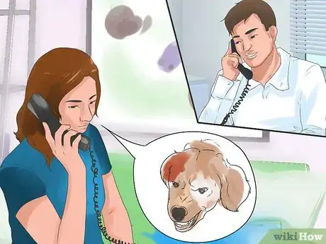 Image titled Socialize Your Dog Step 13