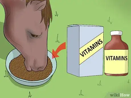 Image titled Prevent a Horse From Colicking Step 6