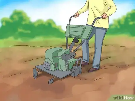 Image titled Grow Dichondra Step 14