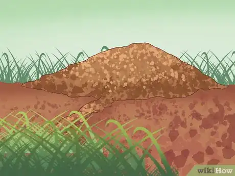 Image titled Catch Moles Step 13