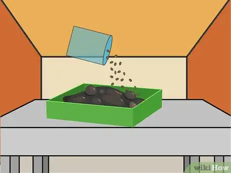 Image titled Grow a Chilli Plant from a Seed Step 4