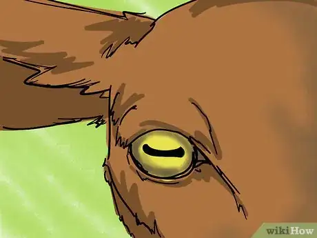 Image titled Spot a Good Milker (Goats) Step 7
