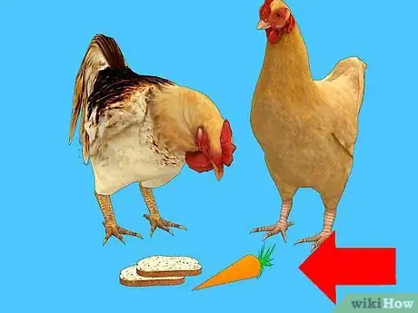 Image titled Feed Chickens Organically Step 8