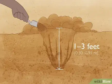 Image titled Grow Salvias Step 5
