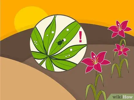 Image titled Grow Stargazer Lilies Step 14