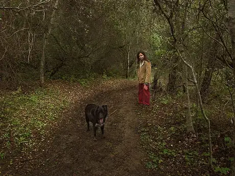 Image titled Dog Walk