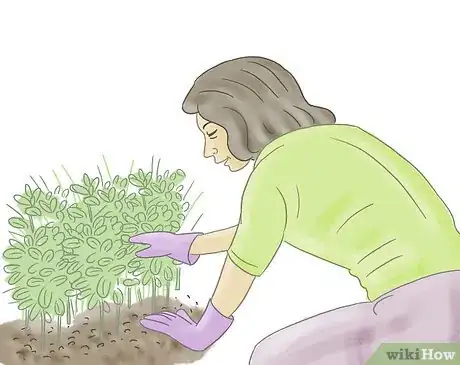 Image titled Start Guerrilla Gardening Step 7