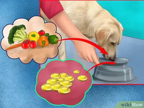 Image titled Keep an Older Dog Mentally Active Step 9